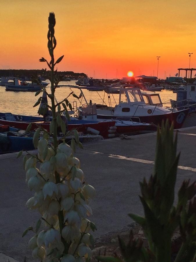 La Casa Di Ada E Gigi Vacanze Porto Cesareo Bagian luar foto